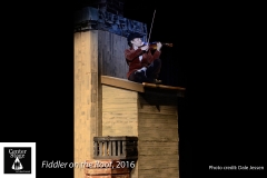 Fiddler-on-the-Roof_002