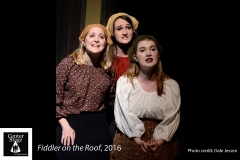 Fiddler-on-the-Roof_029