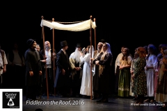 Fiddler-on-the-Roof_170