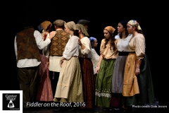 Fiddler-on-the-Roof_222