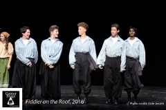 Fiddler-on-the-Roof_230