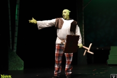 Shrek_029