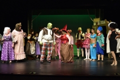 Shrek_069