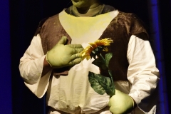 Shrek_217