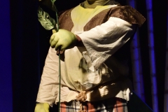 Shrek_218