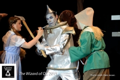 The-Wizard-of-Oz-24